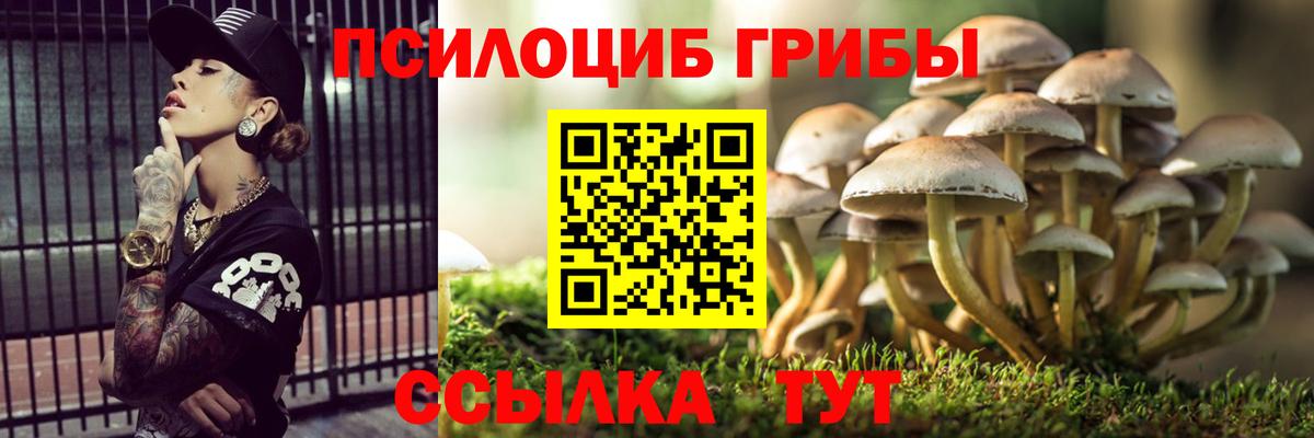 Псилоцибиновые грибы Psilocybine cubensis  Вход с VPN  Прохладный 